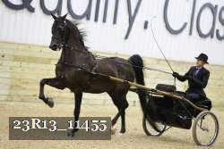 23R13_11455 proof