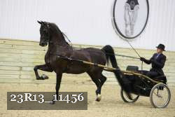 23R13_11456 proof