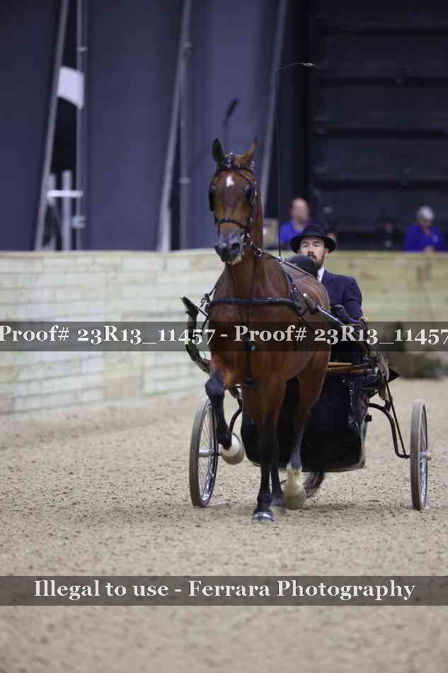 Proof 23R13_11457