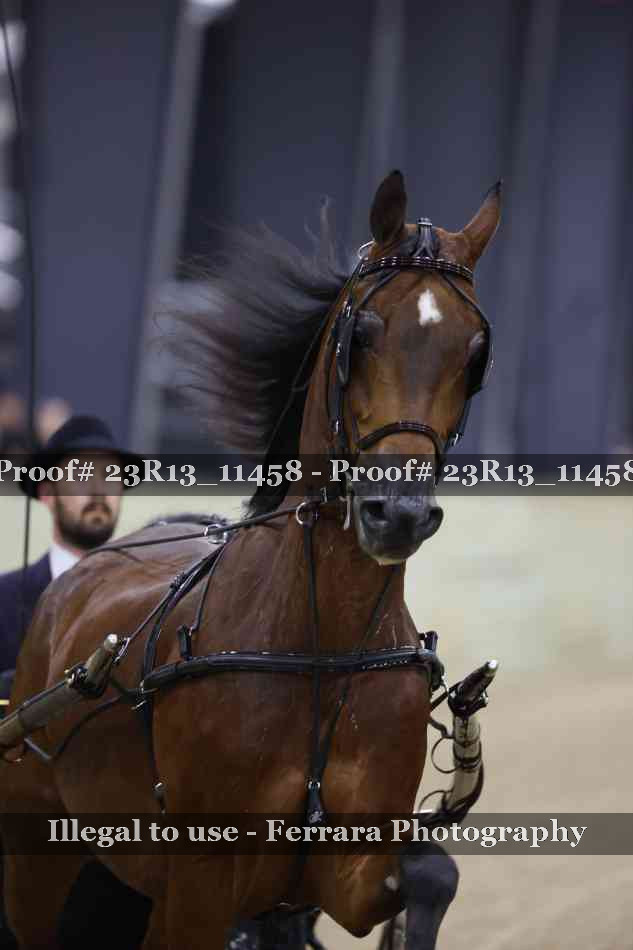Proof 23R13_11458