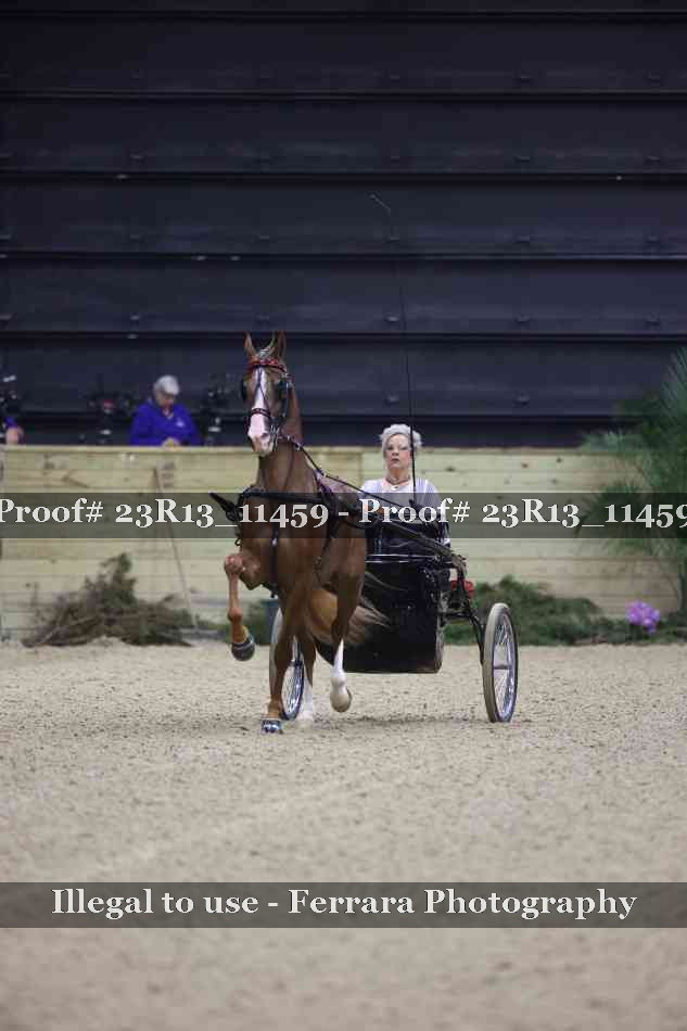 Proof 23R13_11459