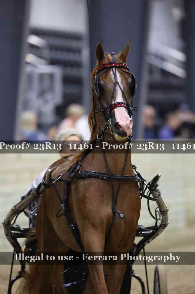 Proof 23R13_11461
