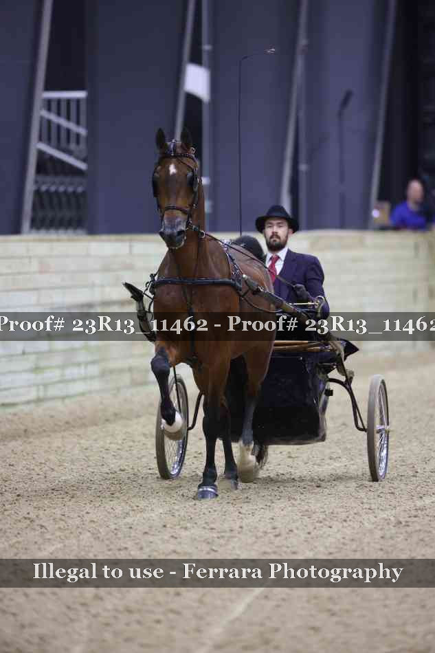 Proof 23R13_11462