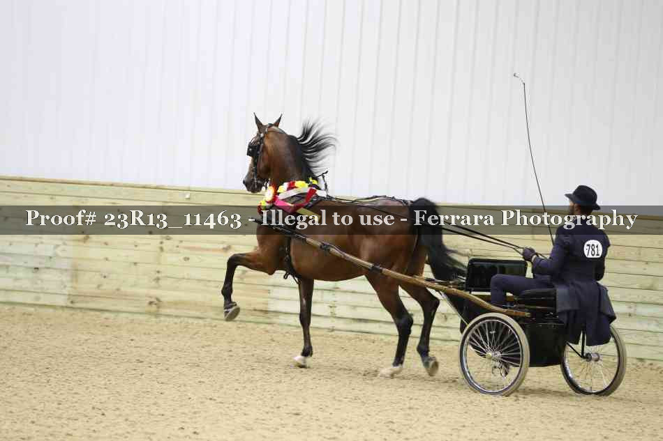 Proof 23R13_11463