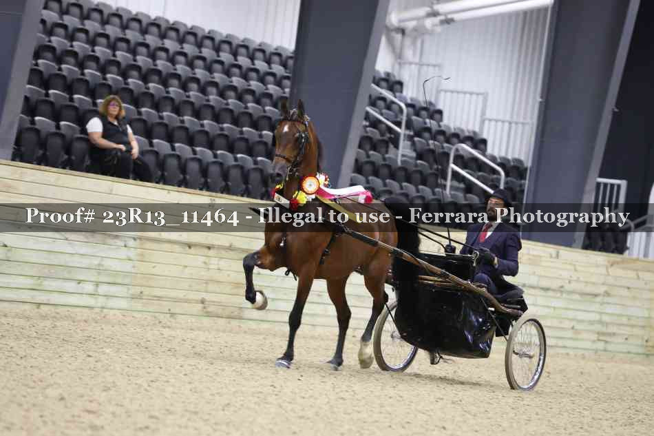 Proof 23R13_11464
