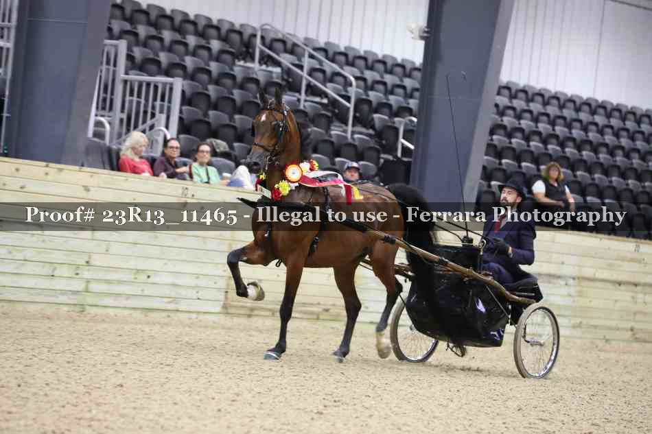 Proof 23R13_11465