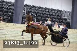 23R13_11466 proof