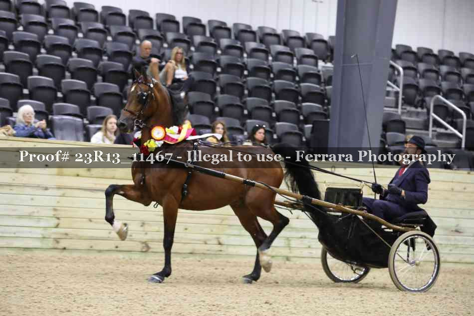 Proof 23R13_11467