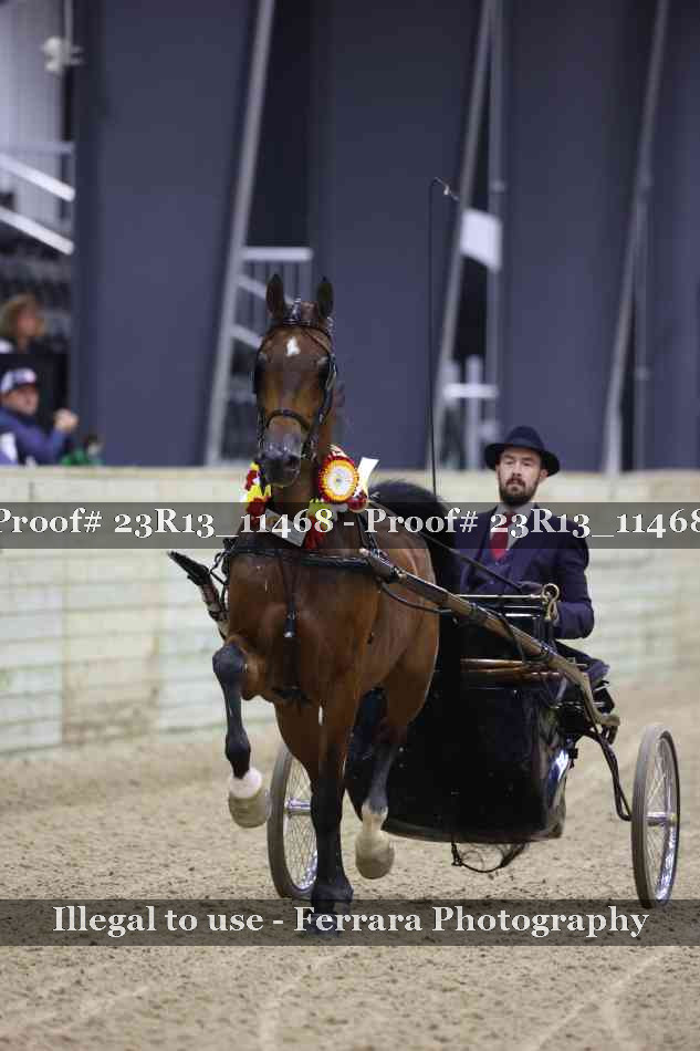 Proof 23R13_11468