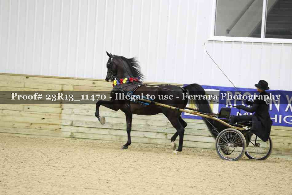 Proof 23R13_11470