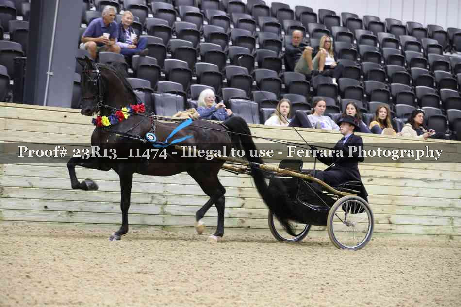 Proof 23R13_11474