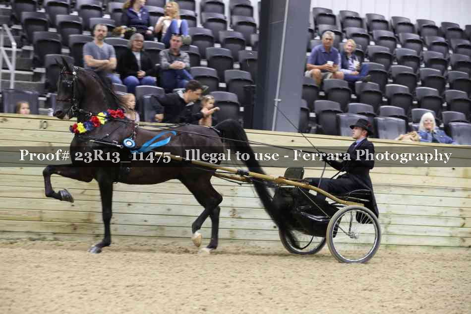 Proof 23R13_11475
