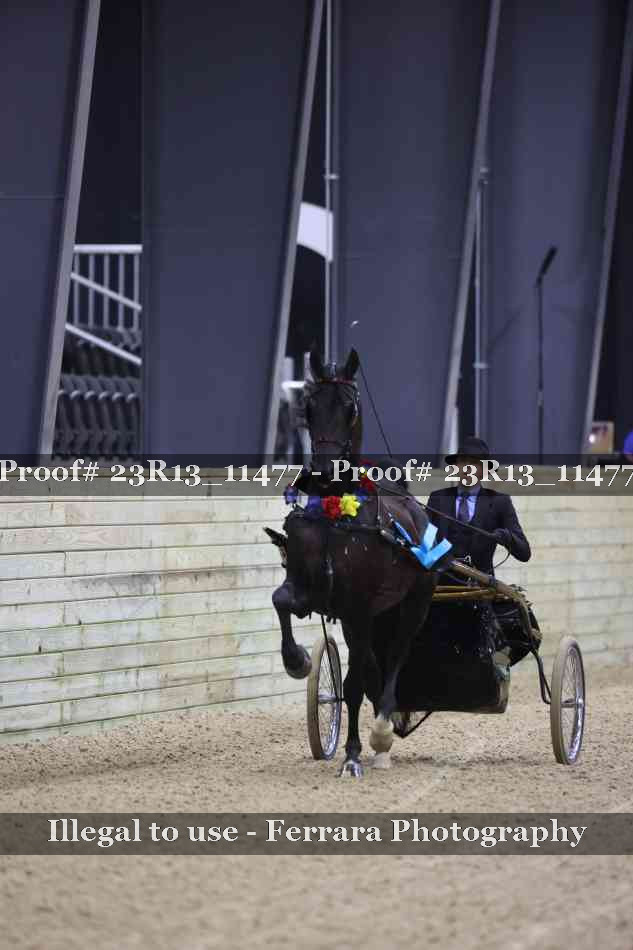 Proof 23R13_11477