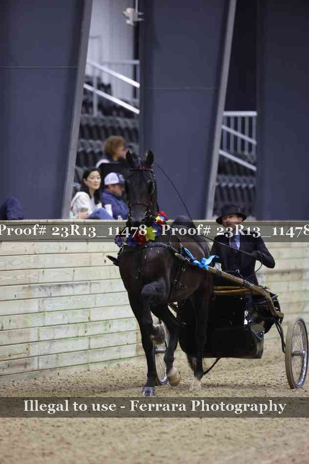 Proof 23R13_11478