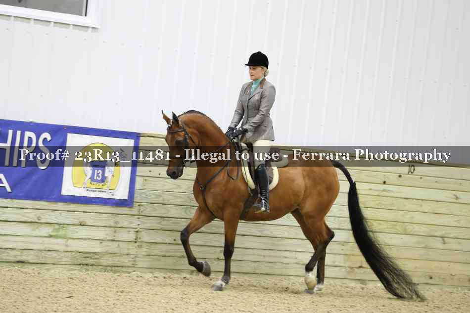 Proof 23R13_11481
