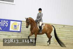 23R13_11481 proof