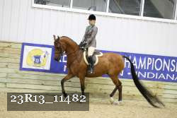 23R13_11482 proof