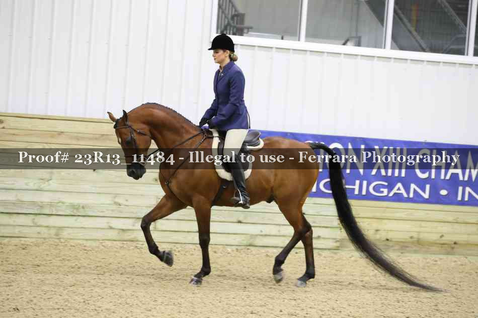 Proof 23R13_11484