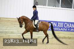 23R13_11484 proof