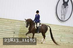 23R13_11485 proof