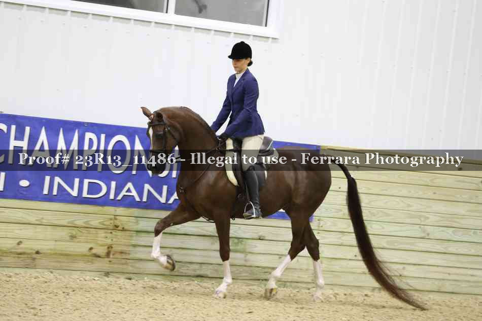 Proof 23R13_11486