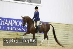 23R13_11486 proof