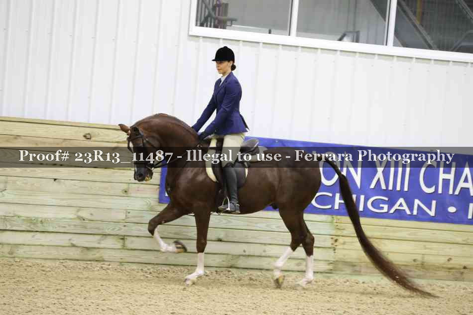 Proof 23R13_11487