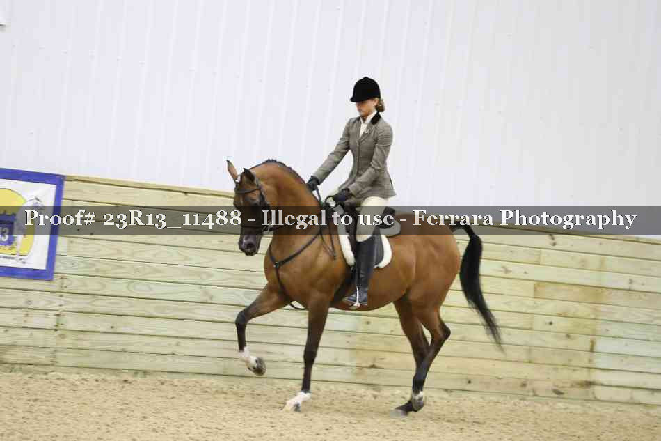 Proof 23R13_11488