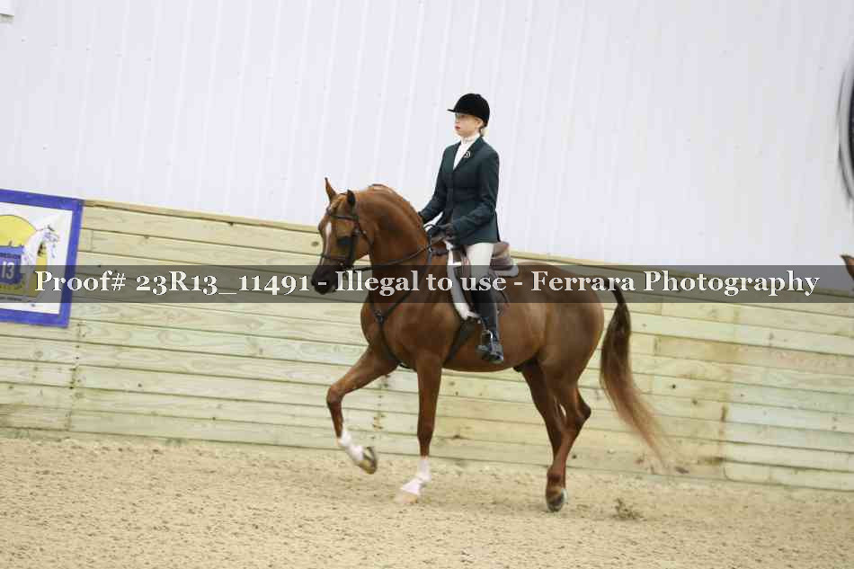 Proof 23R13_11491