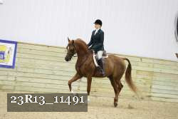 23R13_11491 proof