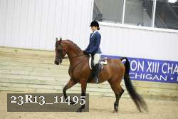 23R13_11495 proof