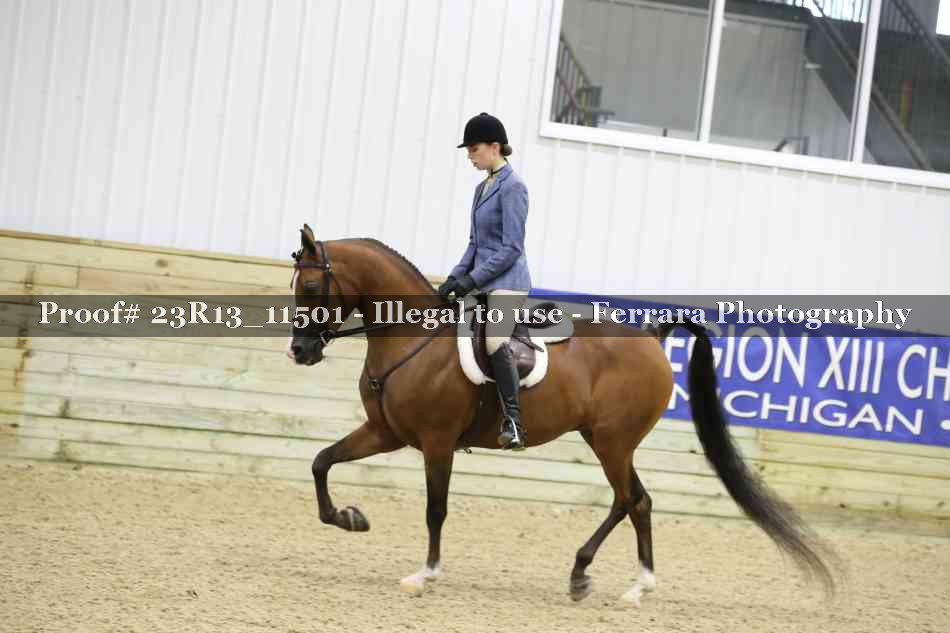 Proof 23R13_11501