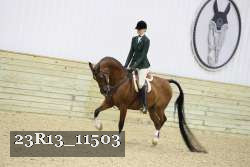 23R13_11503 proof