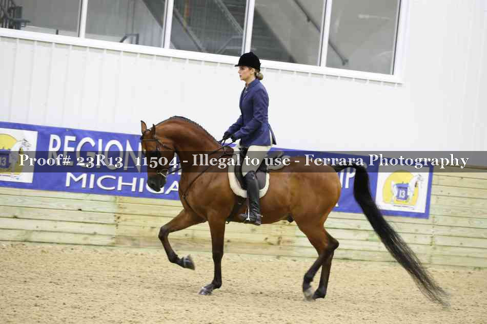 Proof 23R13_11504