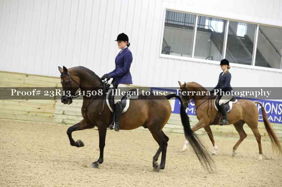 Proof 23R13_11508