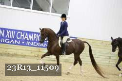 23R13_11509 proof