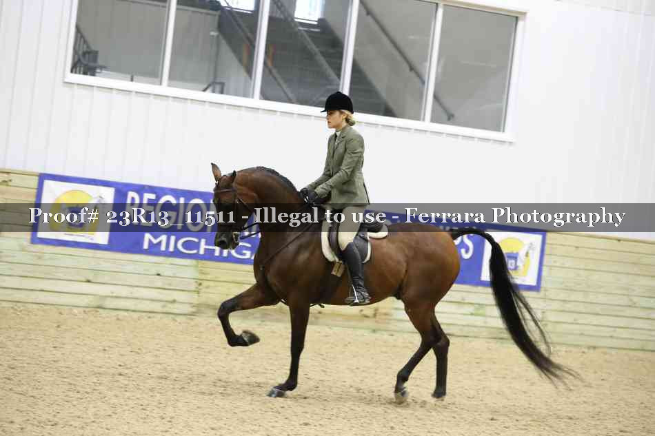 Proof 23R13_11511