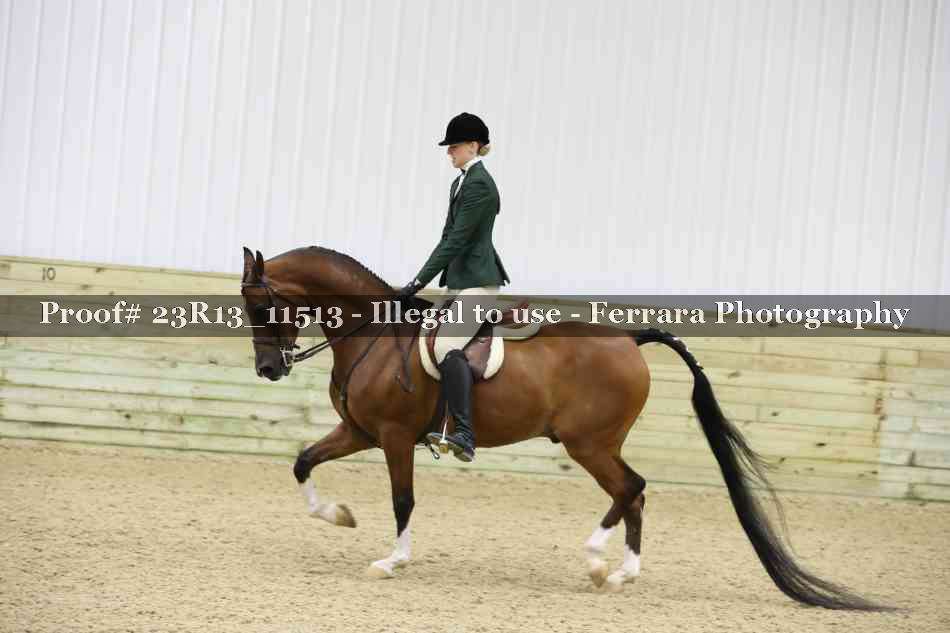 Proof 23R13_11513