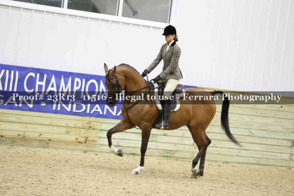 Proof 23R13_11516