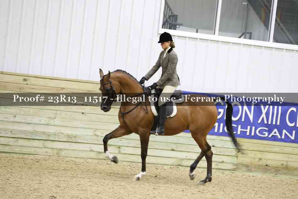 Proof 23R13_11517