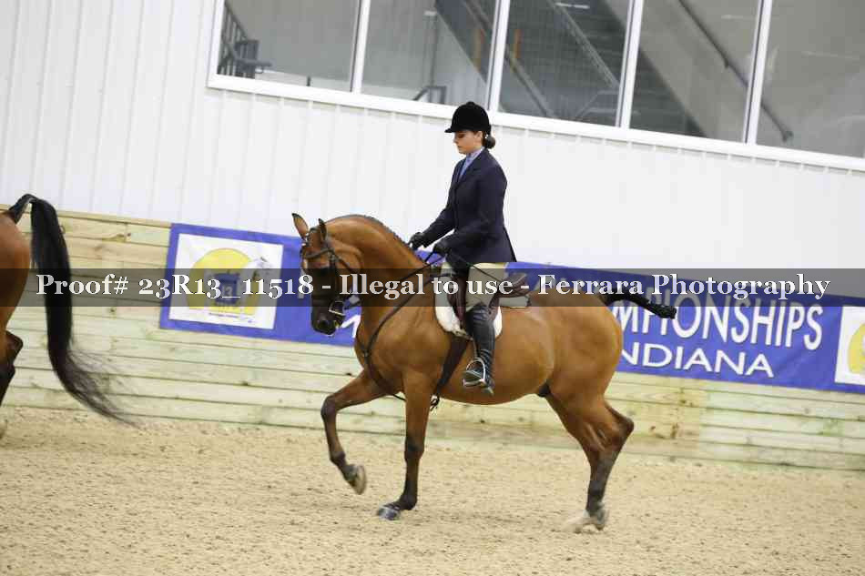 Proof 23R13_11518