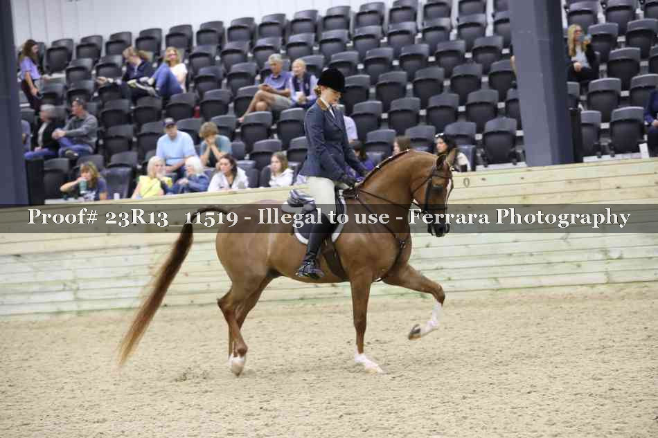 Proof 23R13_11519