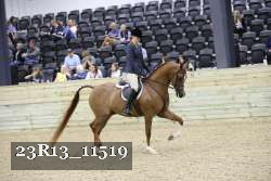 23R13_11519 proof