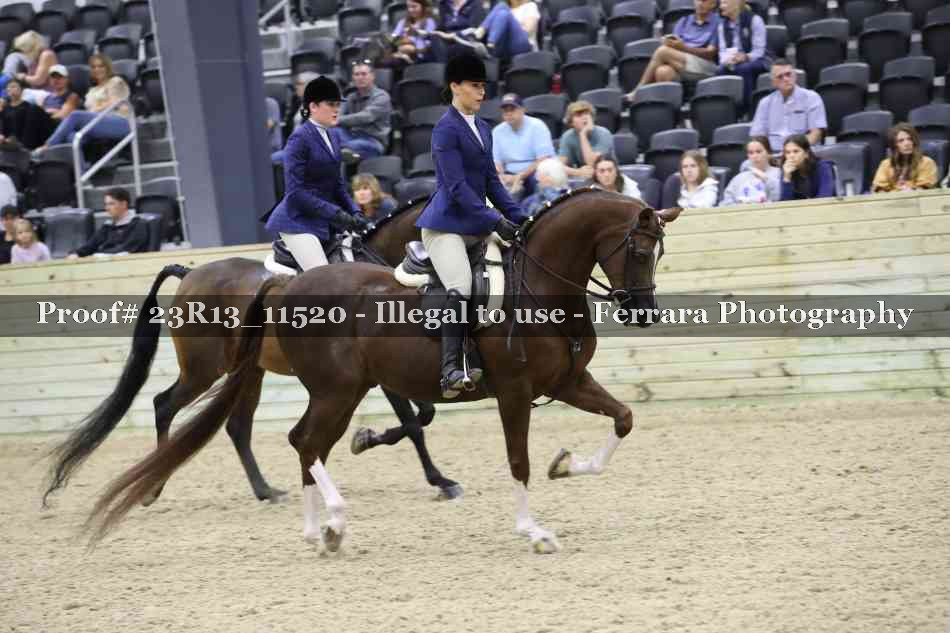 Proof 23R13_11520