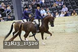 23R13_11520 proof