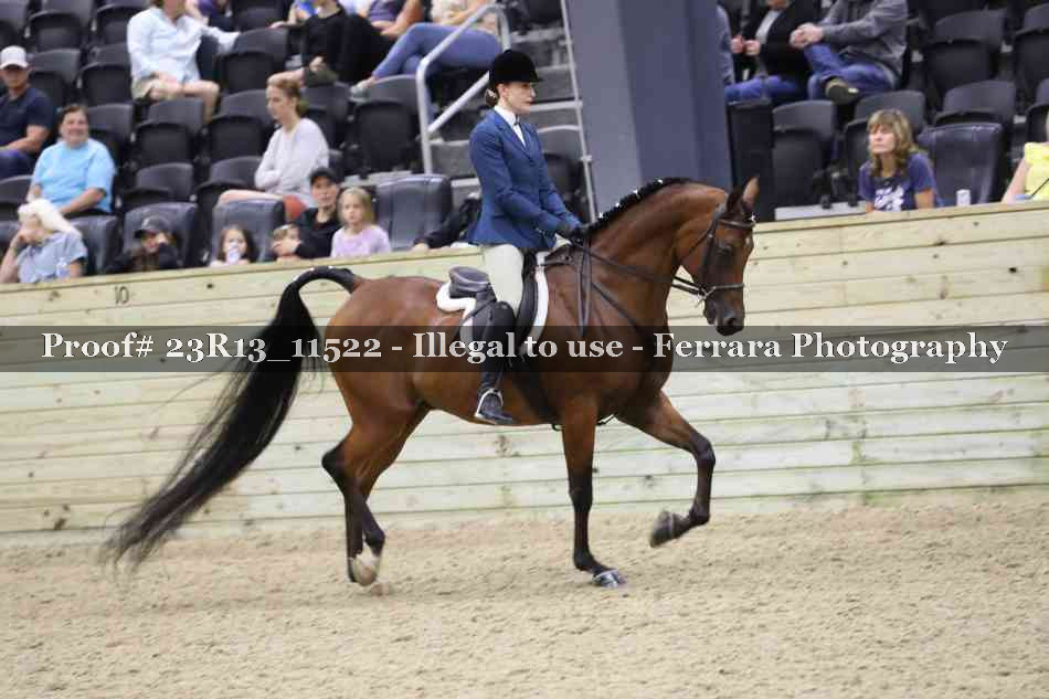 Proof 23R13_11522