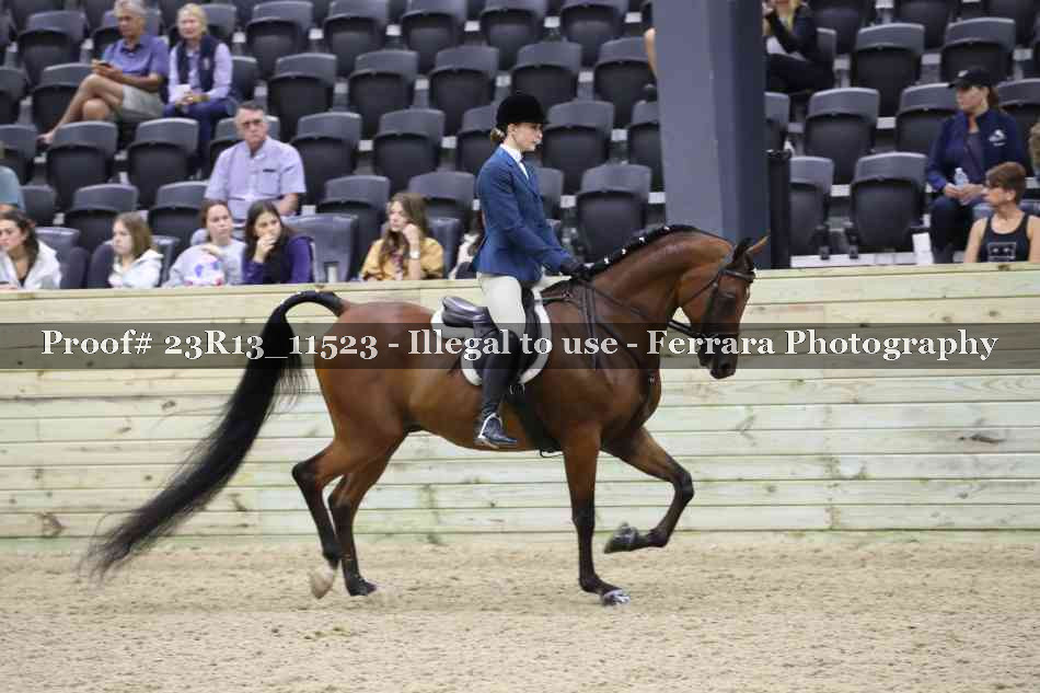 Proof 23R13_11523