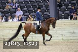 23R13_11523 proof