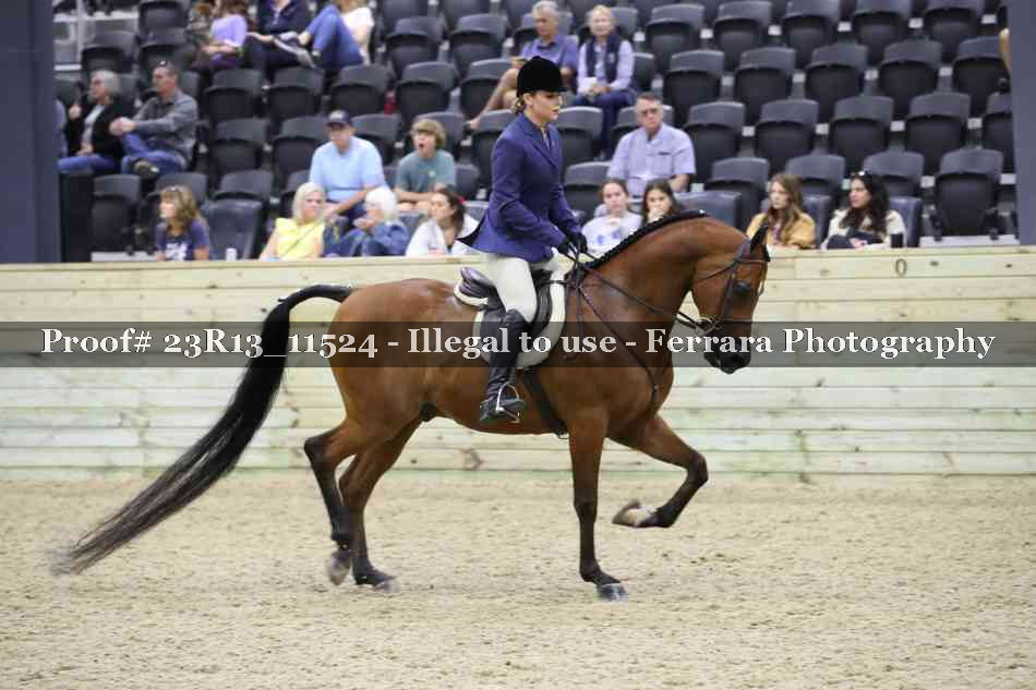 Proof 23R13_11524