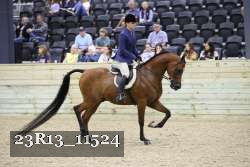 23R13_11524 proof